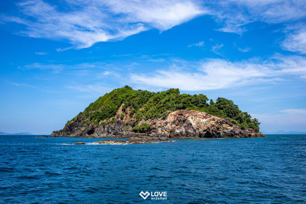 ทริปเกาะไม้ท่อน